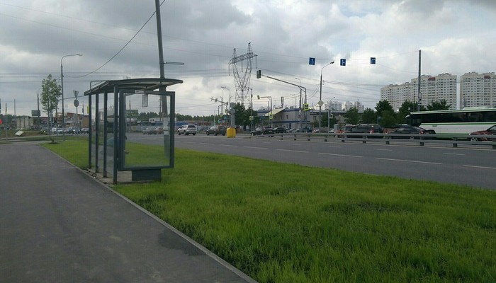 Zelenograd stops are the most ecological stops - My, Ecology, Stop, Zelenograd