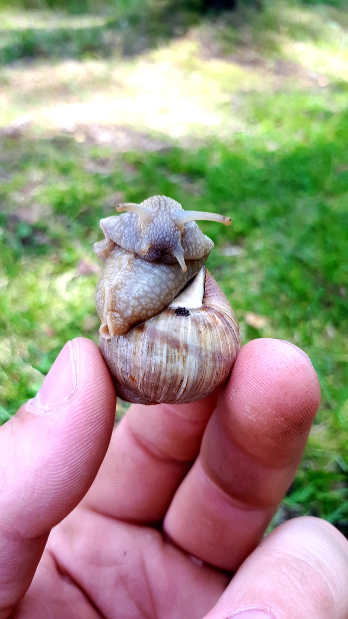 �������� :�