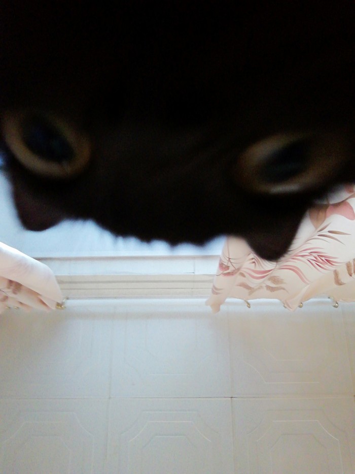 Смотрю просто