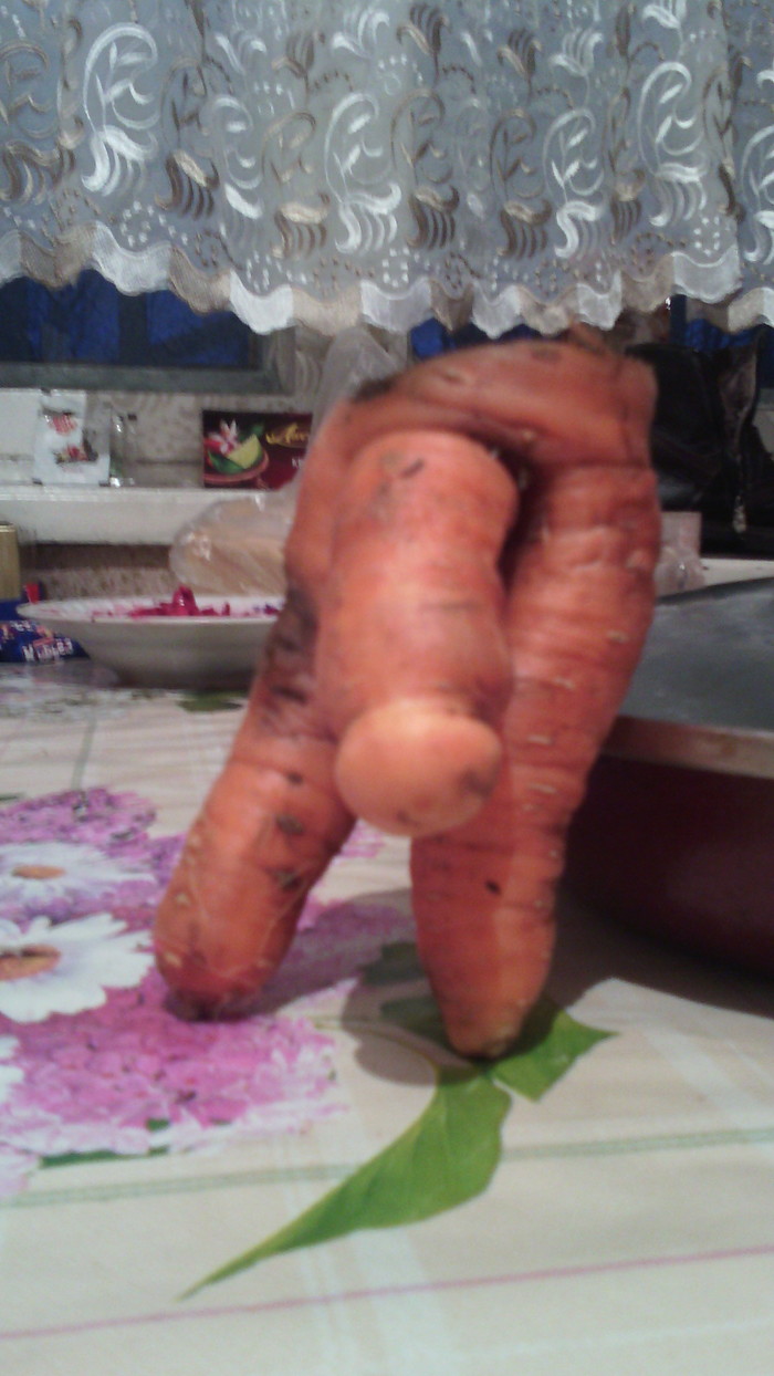 Not the easiest carrot. - My, The photo, Carrot, Mobile photography, Mutation, Wonders of nature