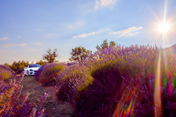 ���������� ����.