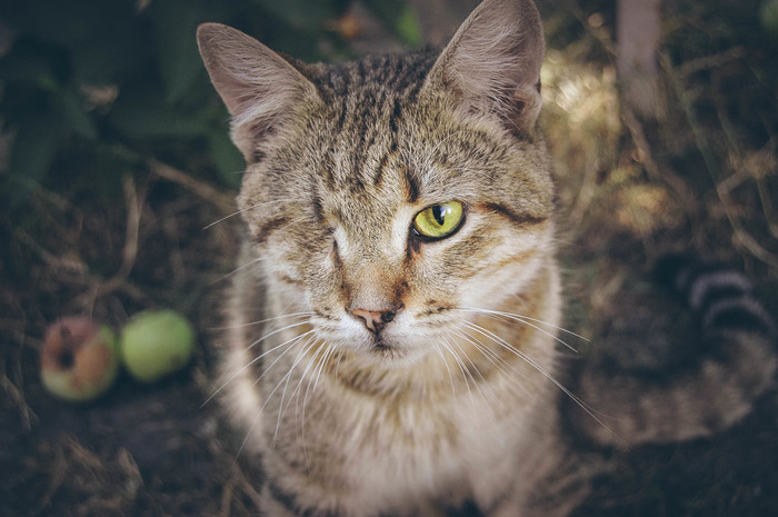  :3