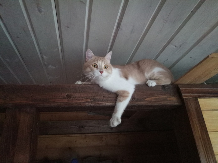 ��������� �����