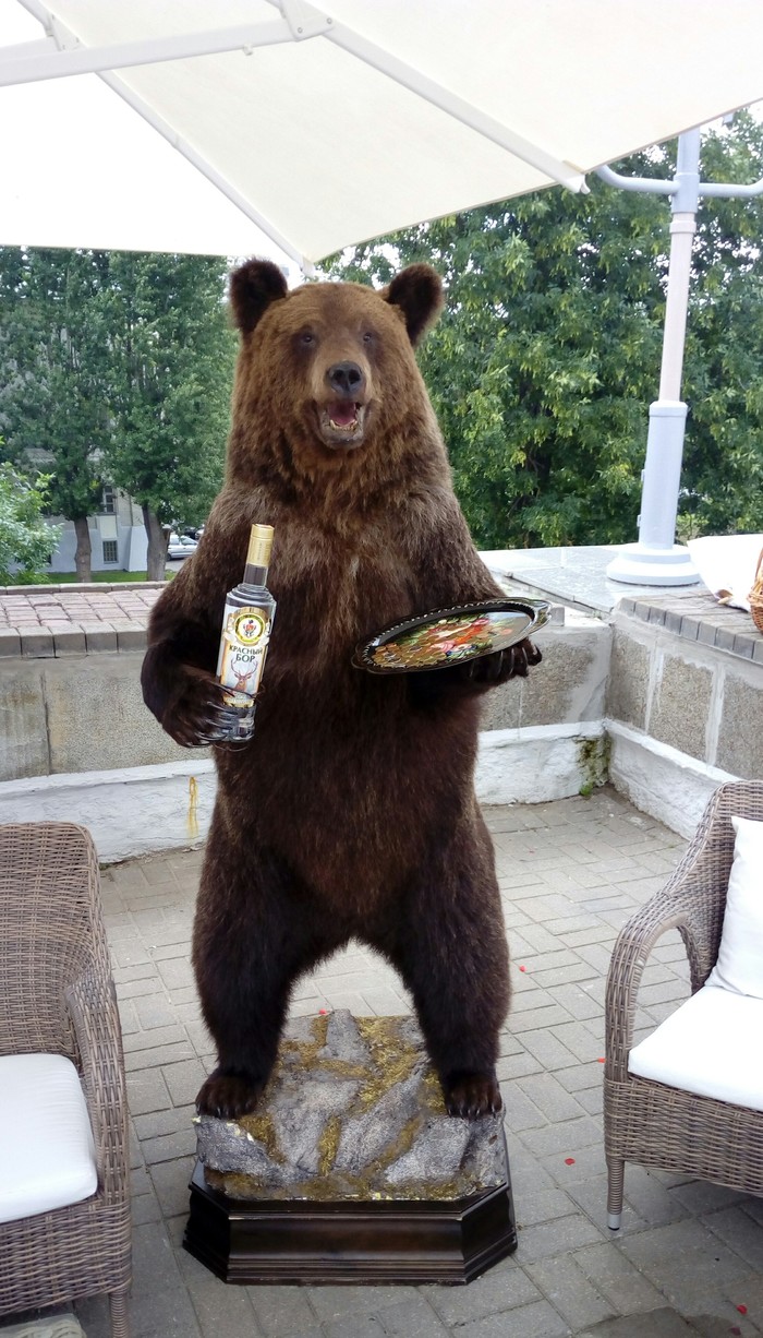 Let's have a drink? - My, The photo, Vodka, The Bears