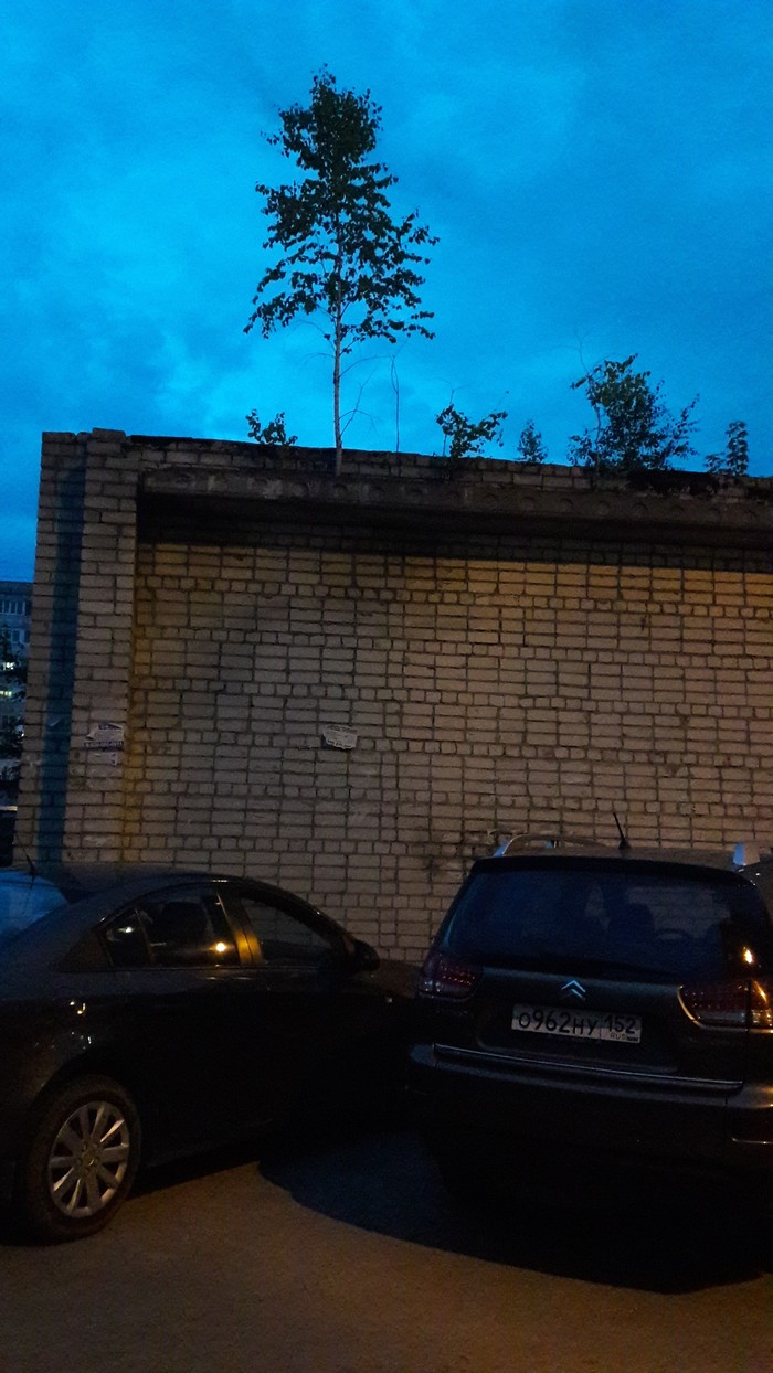      , , 