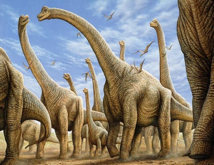 sauropods - , Brachiosaurs, Alamosaurus, Dinosaurs