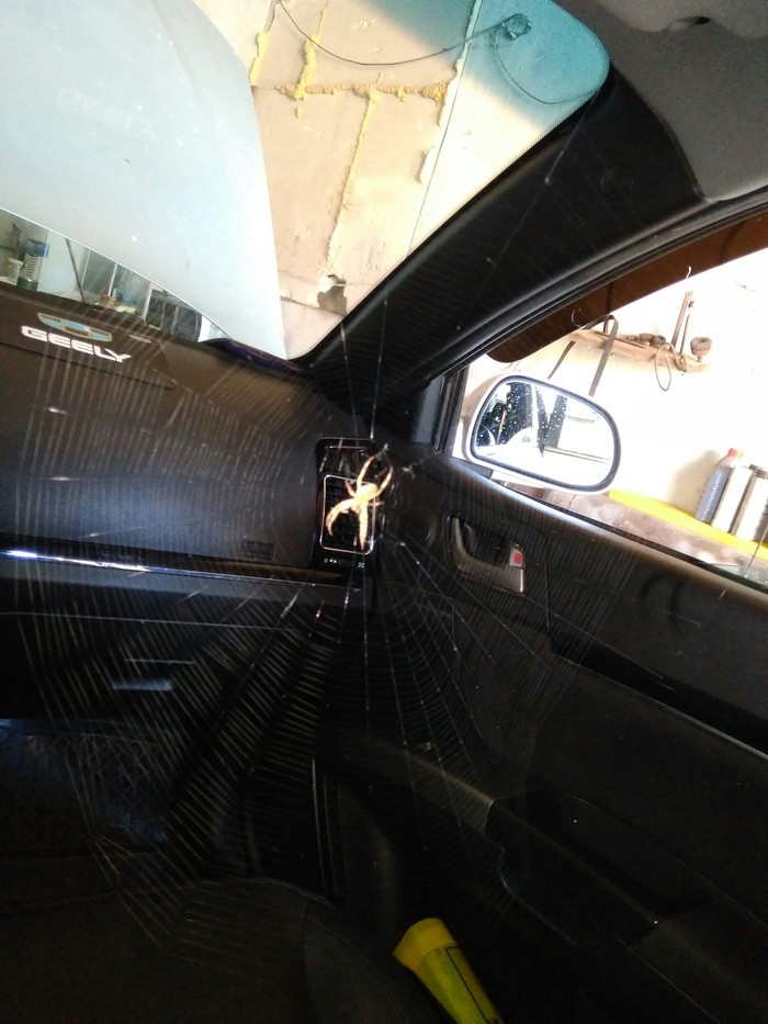 Place taken - My, Car service, Spider, Speed, Unexpected, Longpost