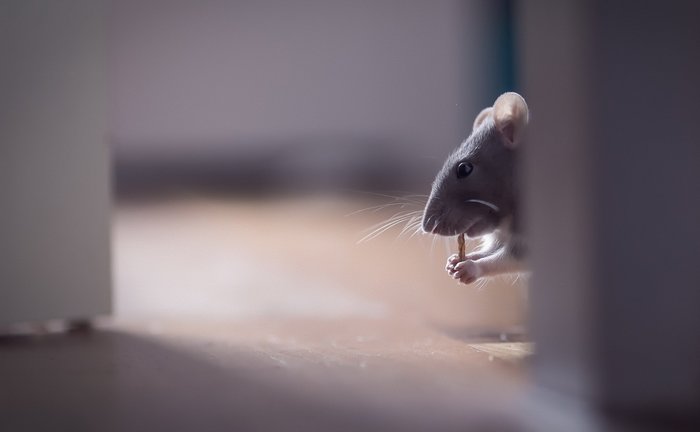 ФОТО... Просто красивые фото фотография, красота, длиннопост