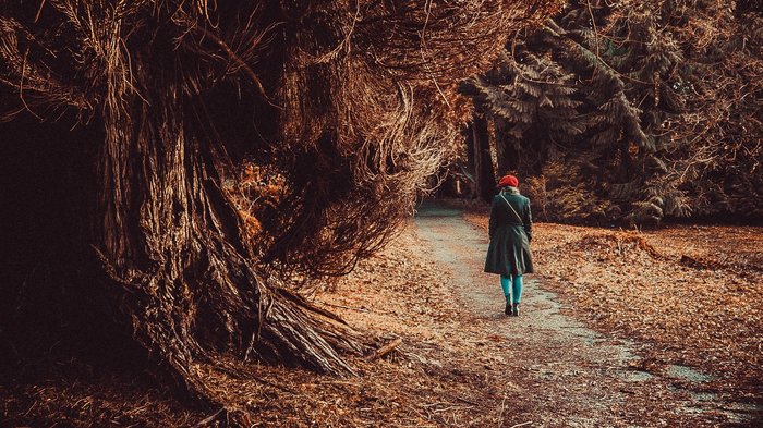 ФОТО... Просто красивые фото фотография, красота, длиннопост