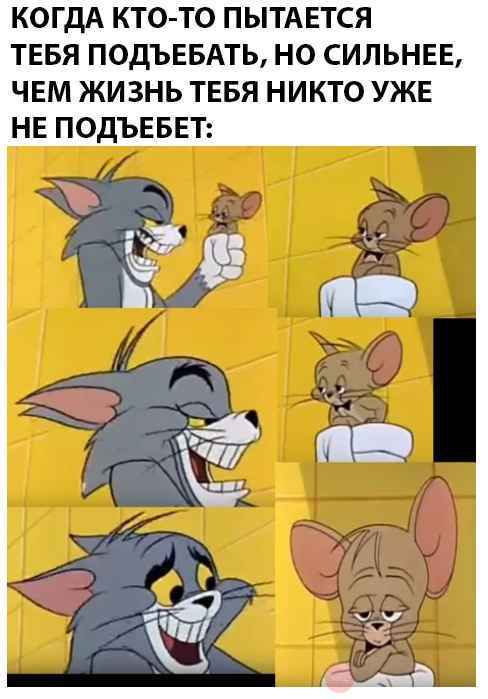 Life is like this - Tom and Jerry, Humor, Sadness, Mat