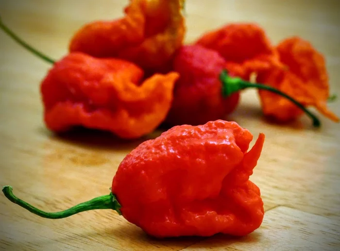 Carolina Reaper - complete fiasco - My, Carolinian Reaper, Hot peppers, Pepper, Chilli, Carolina Reaper, Longpost, Video