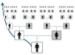 DNA tests for origin and what they are eaten with (part I) - My, Longpost, Genealogy, Genetics, Population genetics, Story, Haplogroup, Dna-test