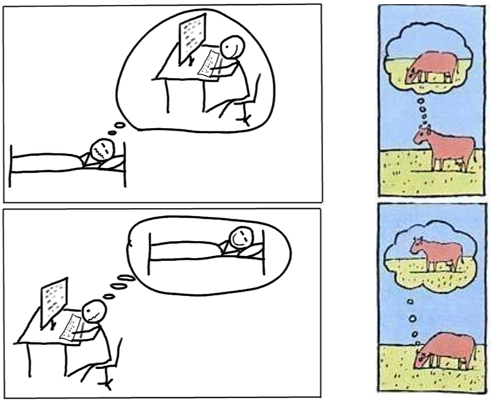 Мыслительный процесс коровы и современного человека