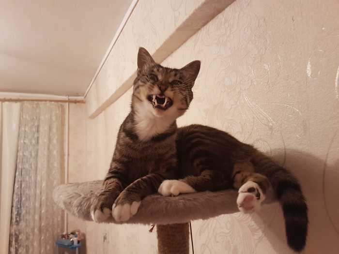 --! , ,  