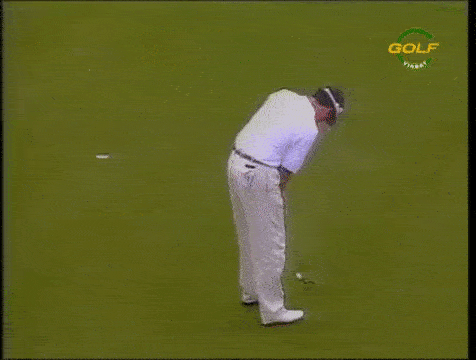 You can not celebrate the victory ahead of time (13 GIFs) - GIF, Fail, Failure, Humor, Stupidity, Moment, Sport, Longpost