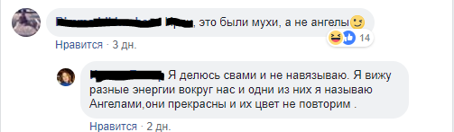 Обезьяны против ангелов - Теория Дарвина, ПГМ, Плоская земля, Длиннопост