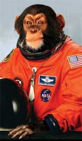 Astronaut Ham - NASA, , Astronaut, Chimpanzee, Longpost