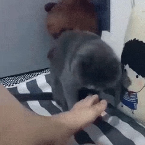 ...    ?