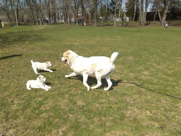 ��������� ��������