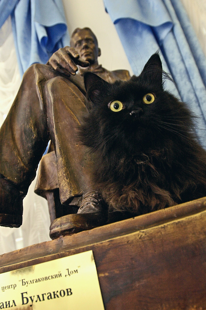 Behemoth the cat was stolen from the Bulgakov House Museum-Theater - My, Cat hippo, cat, Bulgakov House, Bulgakov Museum, Longpost