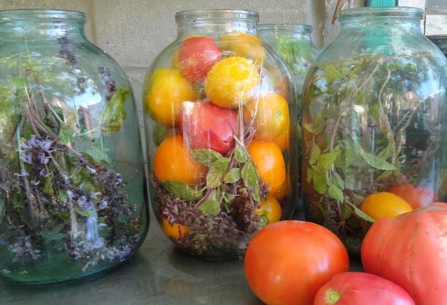 The easiest and most delicious my recipe for pickled tomatoes. - My, , 