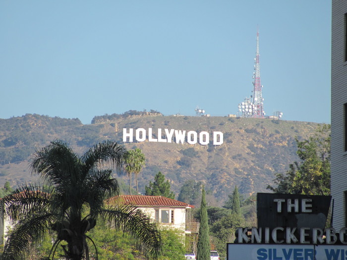 My discovery of Amerissa. Part 19: LA - Santa Monica Boulevard - My, , Los Angeles, , Travels, California, Longpost, America