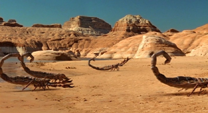 Первый попаданец