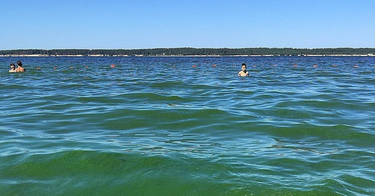 Вода в волге