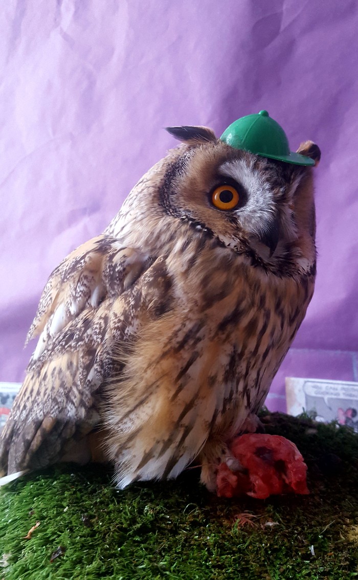 Когда старшеки хотят отобрать у тебя обед