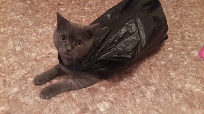 Этому городу нужен новый герой:))