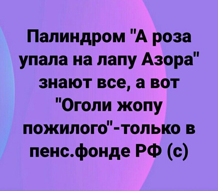 About palindromes.)) - Twitter, Humor, Palindrome, Politics, Pension Fund, Russian language, Violetta Volkova