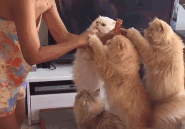   , , , 