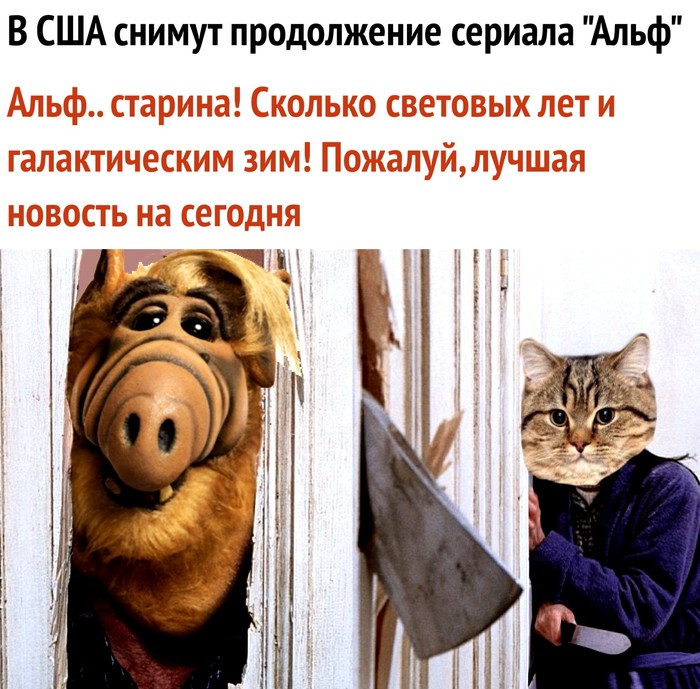 Let's eat their cat. - Serials, Alf