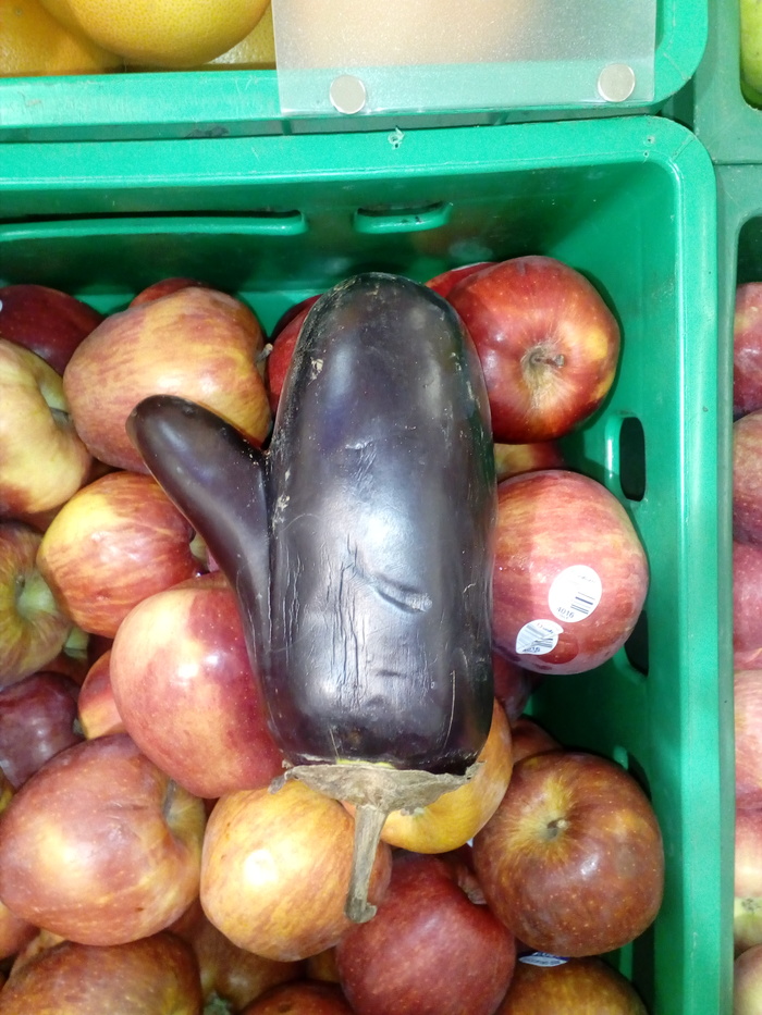 interesting eggplant - My, Eggplant, Vegetables