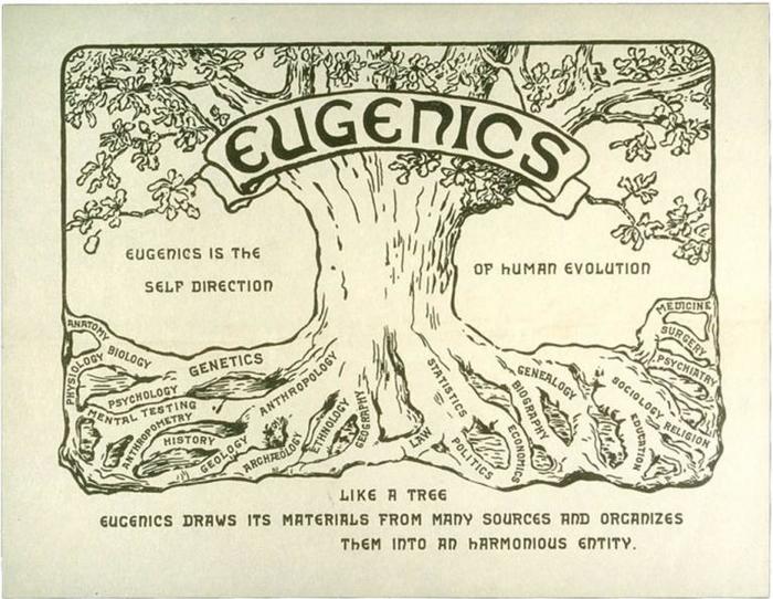 Eugenics - My, Genetics, Biology, Eugenics, , Video, Longpost