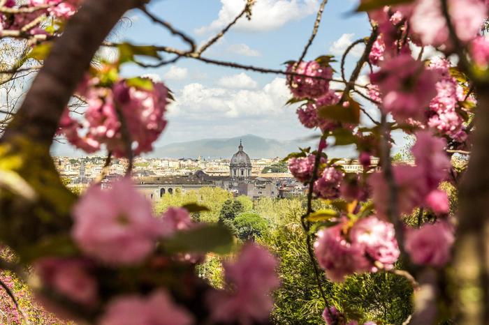 You've never seen Rome like this before! - Rome, Japan, Garden, beauty, Romance, Nature, Italy