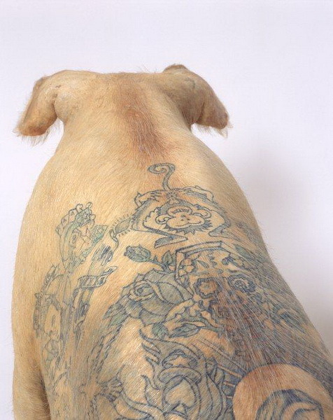 Pig tattoo - Pig, Farm, Tattoo, Longpost