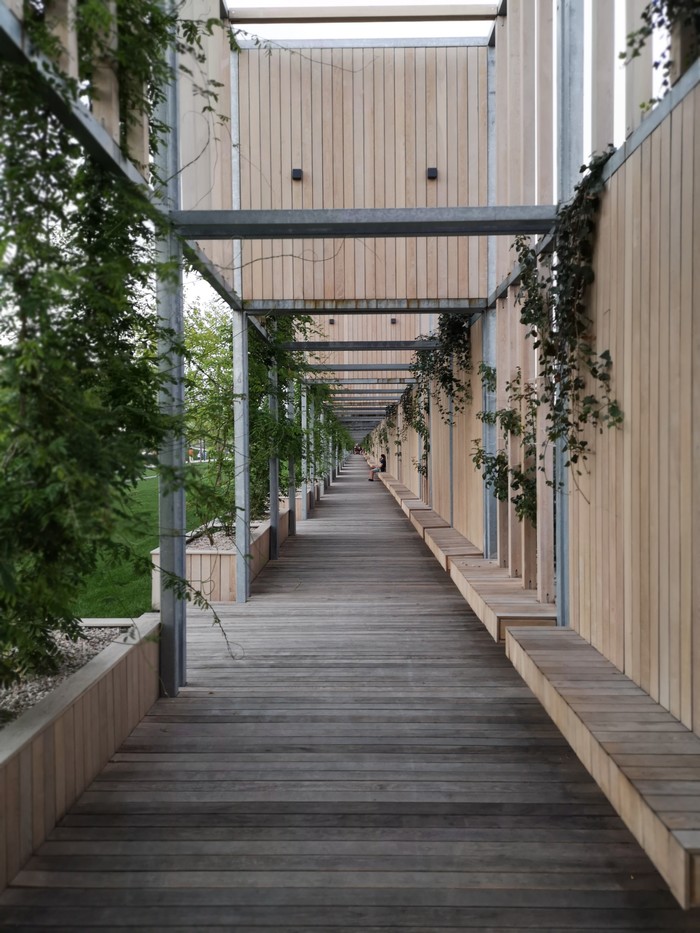 Стадион "Галицкого" Краснодар, Моё, Стадион Краснодар, Длиннопост