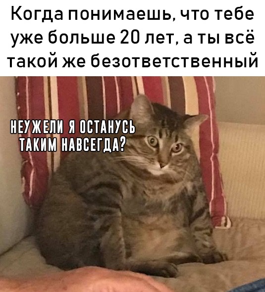 �������-�� �����������...