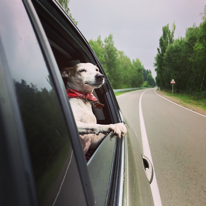    :)