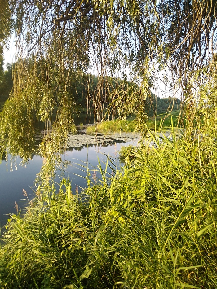 Рыбалка на Урале | Пикабу
