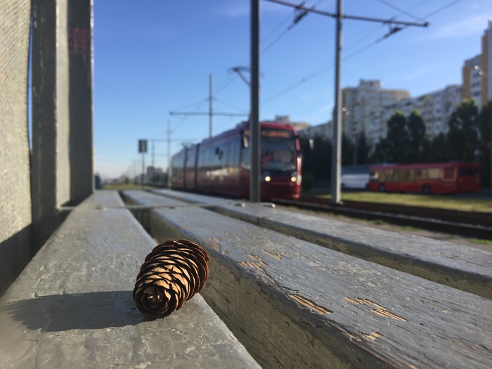 Шишка поехала по делам