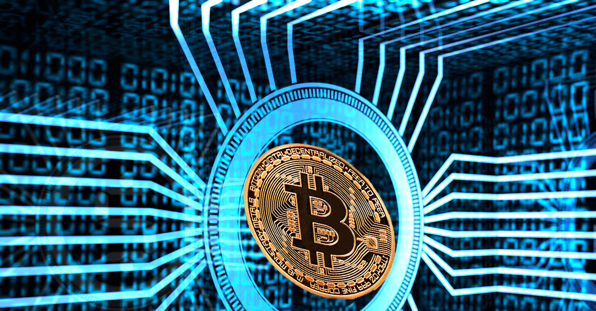 Metawin crypto