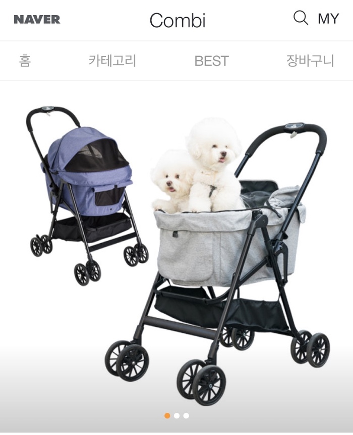 Dog like a child in South Korea - Dog, Stroller, Children, South Korea, Longpost