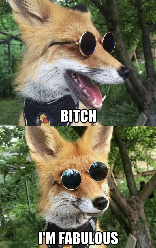 I'm foxy and i know it , Fabulous,   