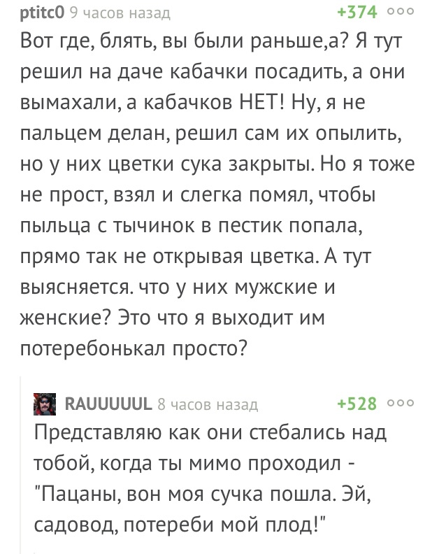 Садовод - Комментарии на Пикабу, Скриншот, Кабачок, Опыление