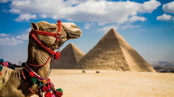 Looking for a vacation company - I am looking for fellow travelers, Travels, Egypt, I want to go on vacation, Vacation