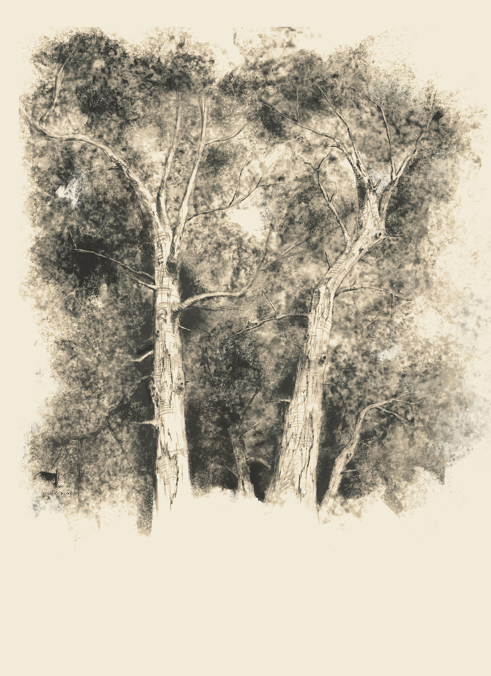 Sketch - My, Deinereflexion, Sketch, Tree, Forest, Drawing, Digital drawing, Photoshop