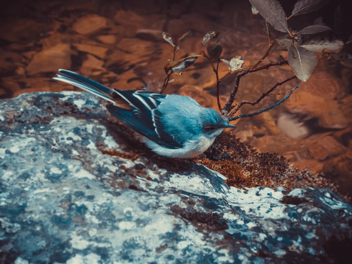 В мире необычного цвета... Фотография, Цвет, Необычное, Fuji, Длиннопост