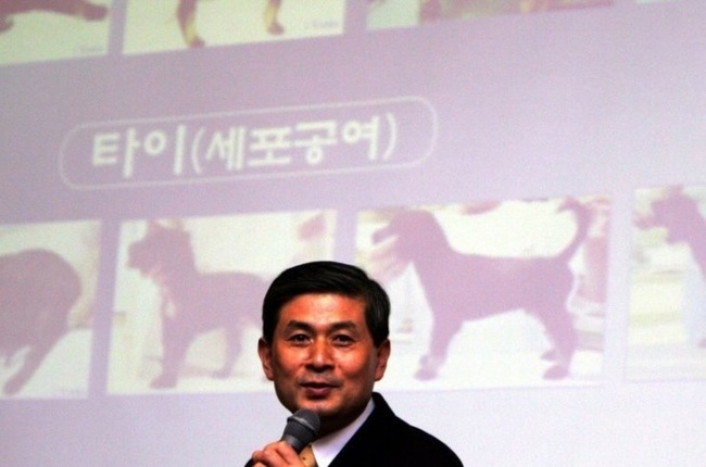 Business vs aesthetics: cloning and sale of dogs in South Korea - Cloning, Dogs and people, South Korea, The science, Longpost